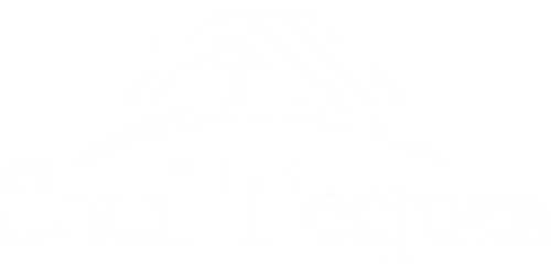 Logo de Soul Teques